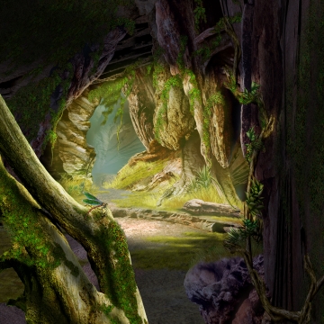 360x360 Jungle Png, Vector, And Clipart With Transparent Background