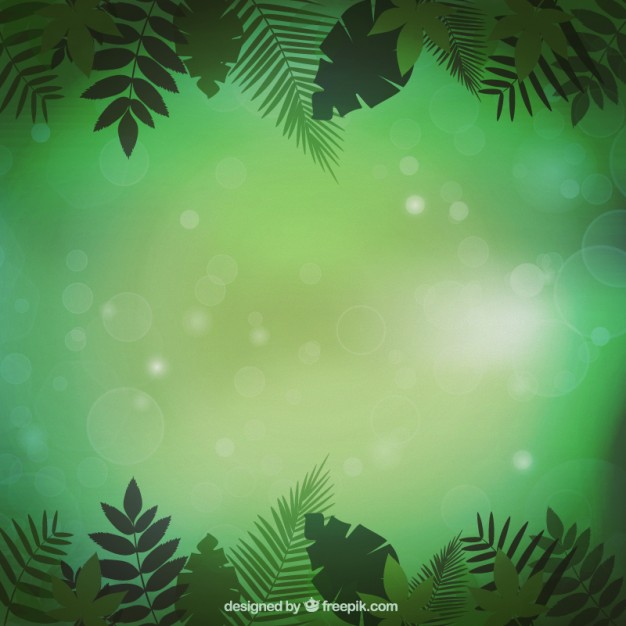 626x626 Jungle Vegetation Background Vector Free Download