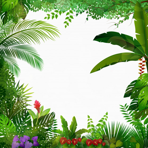 Jungle Background Vector at Vectorified.com | Collection of Jungle ...