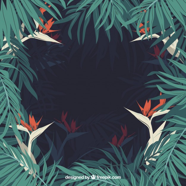 626x626 Fresh Tropical Jungle Frame Vector Free Download