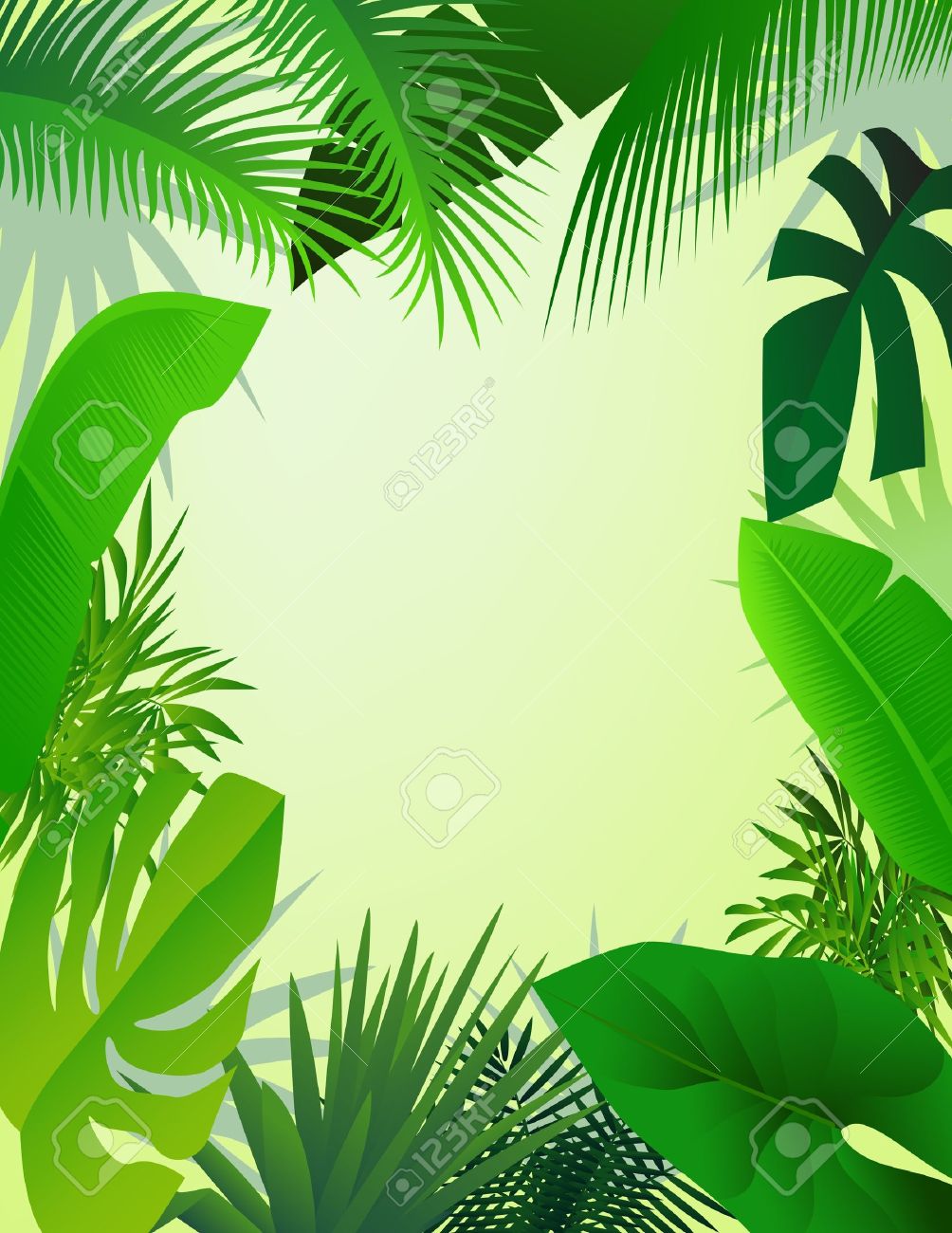 Jungle Frame Vector at Vectorified.com | Collection of Jungle Frame