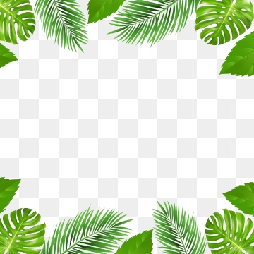 Jungle Frame Vector at Vectorified.com | Collection of Jungle Frame ...