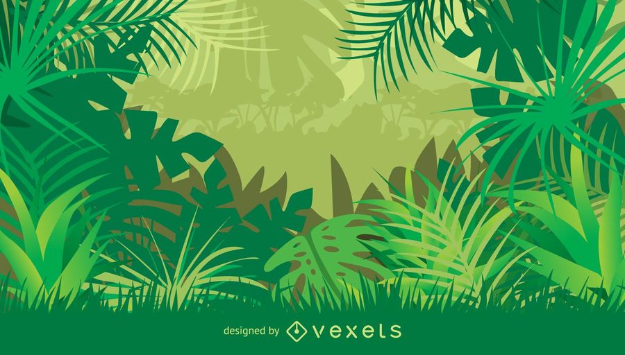 900x512 Jungle Frame With Plants And Tropical Leaves