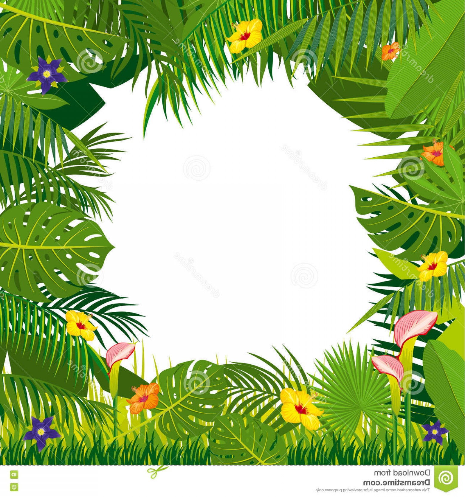1560x1668 Rainforest Leaves Vectors Catchsplace