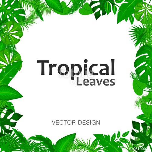 500x500 Summer Background With Green Leaves Of Tropical Plants Jungle