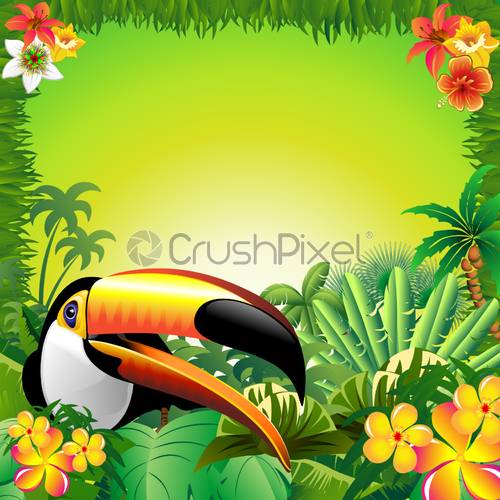 500x500 Toucan Exotic Bird On Junge Scenery Frame Vector Illustration