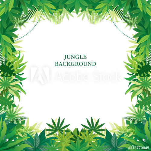500x500 Tropical Jungle Frame, Forrest, Rainforest, Plant And Nature
