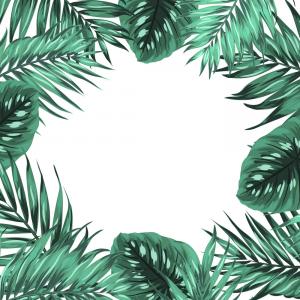 300x300 Tropical Jungle Palm Monstera Green Leaves Frame Vector Catchsplace