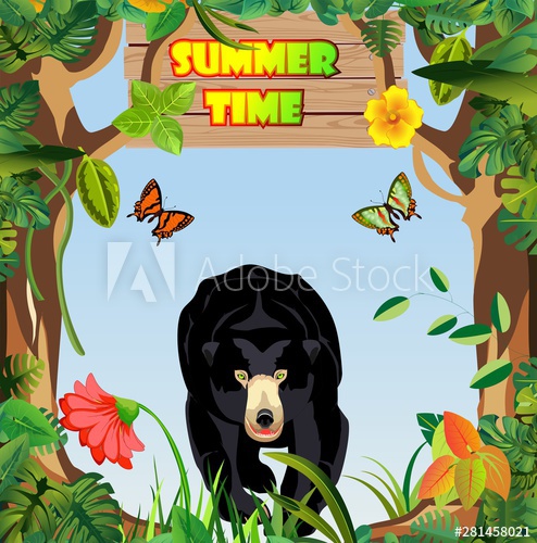 494x500 Black Bear Walks In The Jungle, Jungle Landscape In Background