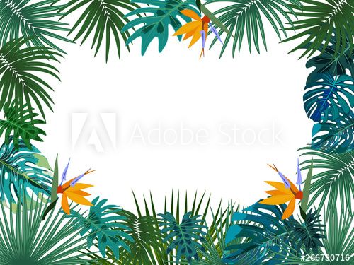 500x375 Vector Tropical Jungle Frame With Palm Trees And Leaves