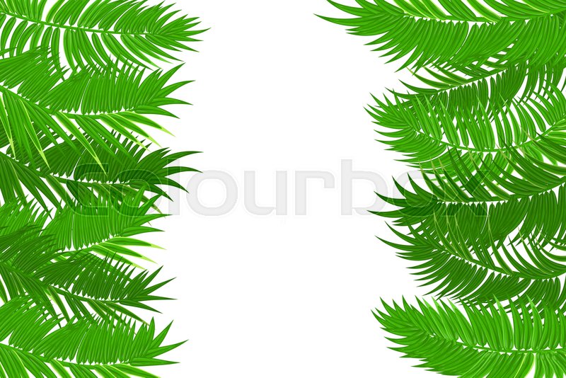 800x534 Web Summer Jungle Frame Banner Green Stock Vector Colourbox