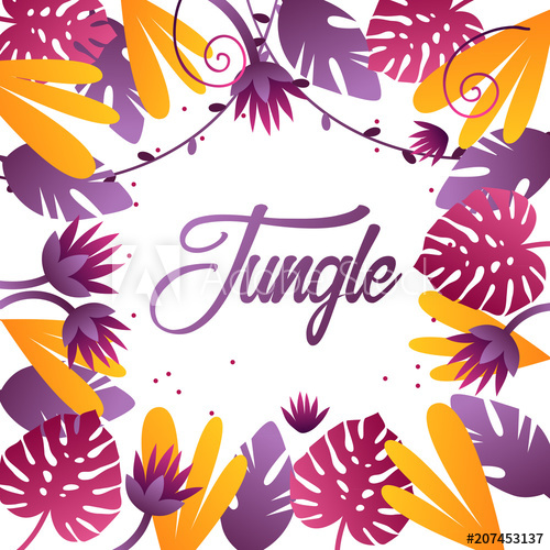 500x500 Decorative Tropical Background Jungle Frame Vector Illustration
