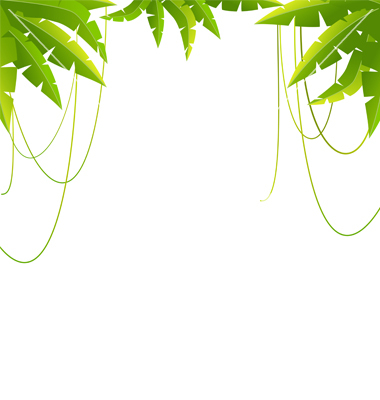380x400 Jungle Frame Clipart Free Cliparts Download Images