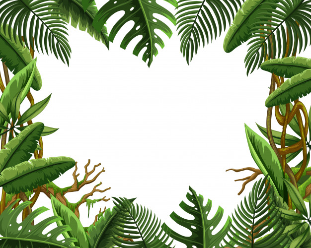 Jungle Frame Vector at Collection of Jungle Frame Vector free for personal use