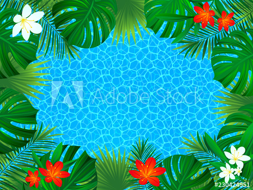 500x375 Floral Tropical Frame Vector Exotic Flowers Illustration