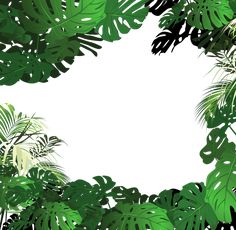 236x230 Free Printable Clip Art Borders Jungle Frame Vector