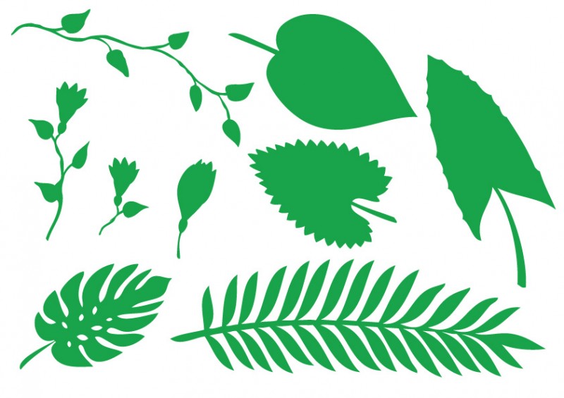 800x565 Jungle Plant Leaves And Flowers Vector Silhouettes