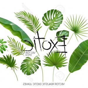 300x300 Jungle Tropical Leaves Background Vector Catchsplace