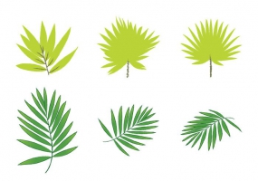 285x200 Jungle Leaf Free Vector Graphic Art Free Download