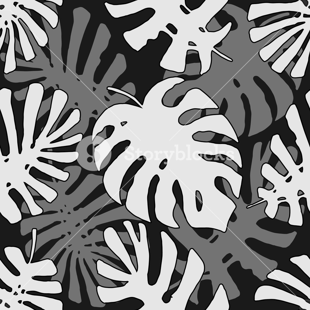 1000x1000 Monochrome Tropical Jungle Leaves Vector Seamless Black And White