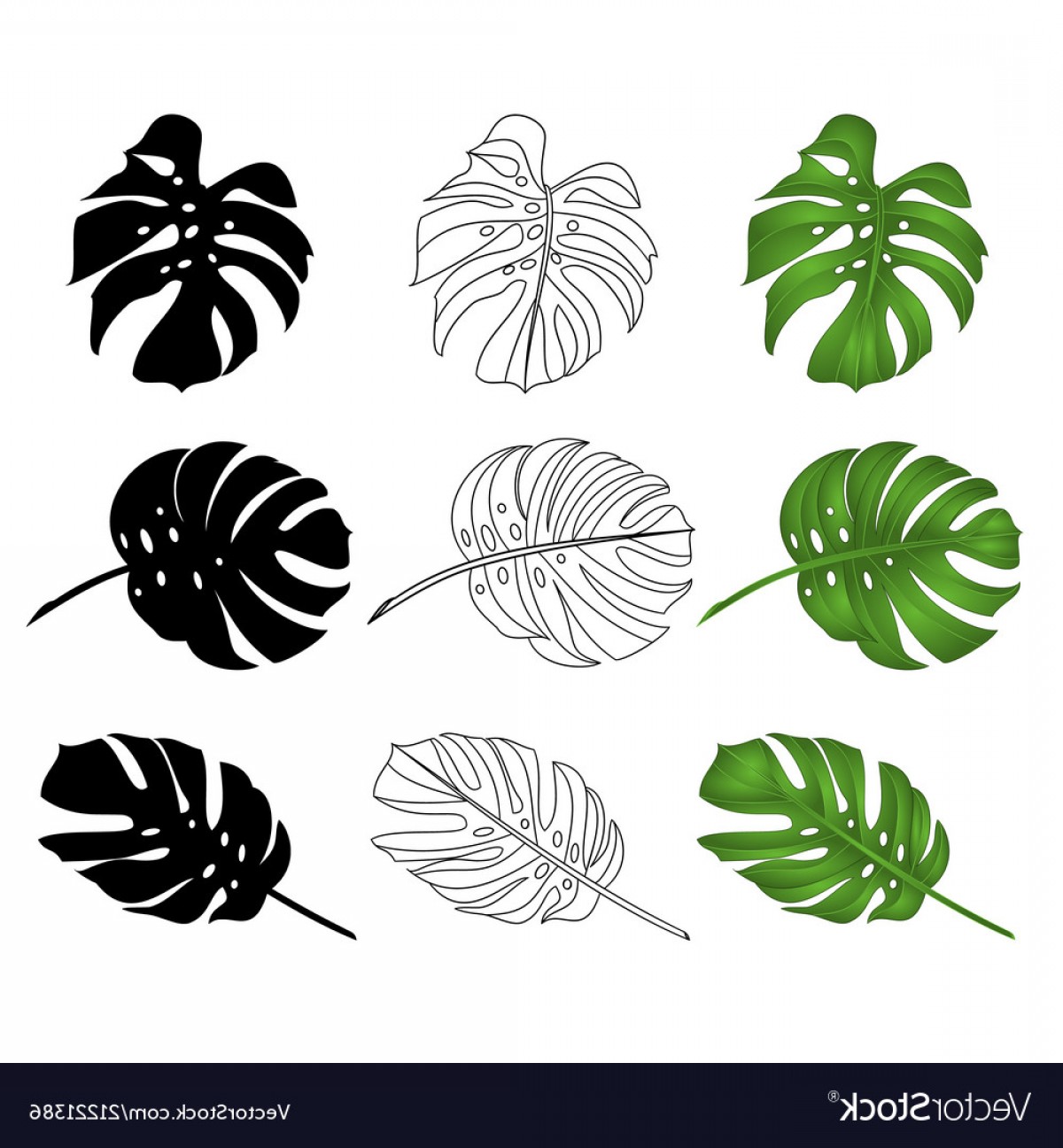 1200x1296 Rainforest Leaves Vectors Catchsplace
