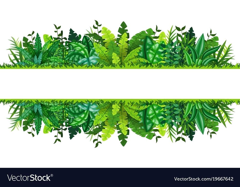 1000x780 Tropical Palm Leaves Jungle Design Template Vector Illustration