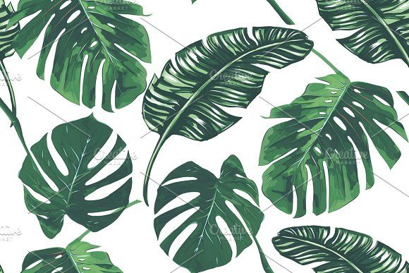 580x387 Tropical Jungle Leaves Pattern Graphics Beautiful Seamless Vector