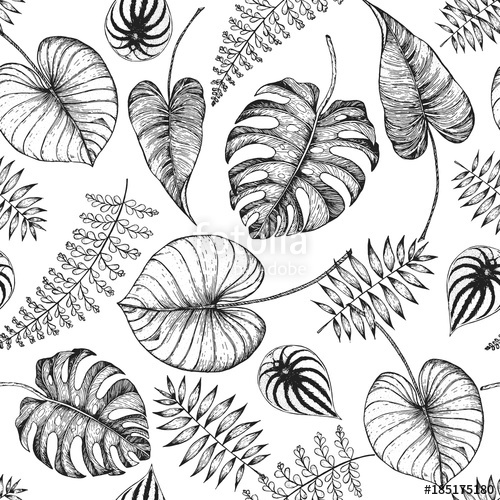 500x500 Tropical Palm Leaves Seamless Pattern Vector Illustration Leaves