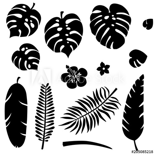 500x500 Set Of Silhouette Tropical Leaves Jungle Foliage Green Palm