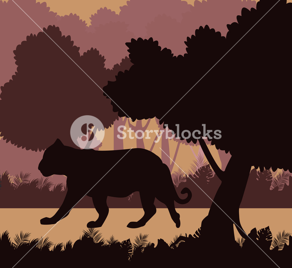 1000x916 Tiger In The Jungle Black Silhouette Vector Illustration Graphic