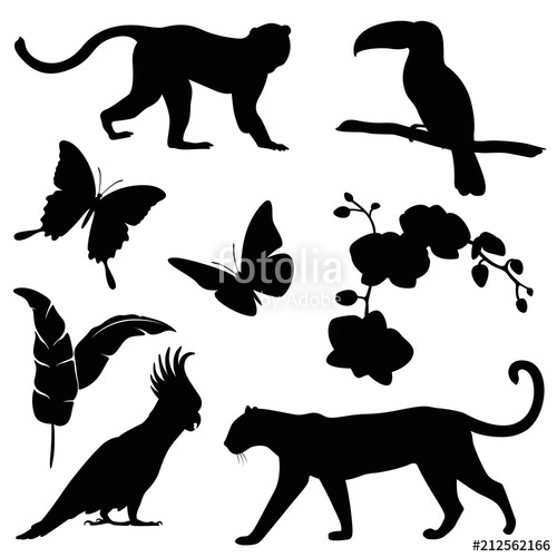 500x500 Animals Jungle Silhouette Set Stock Image And Royalty Free Vector