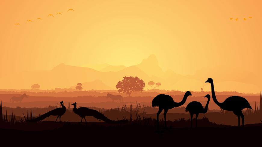 871x490 Birds In Jungle Silhouette