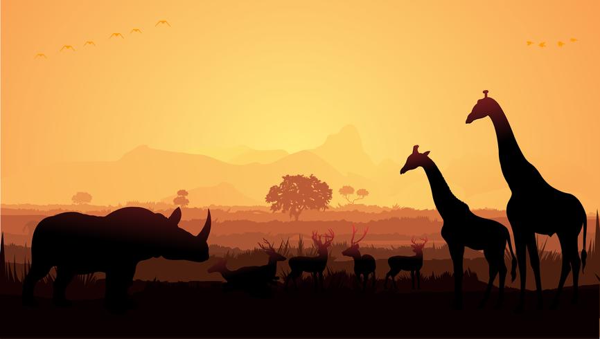 866x490 Giraffe And Deer In Jungle Silhouette