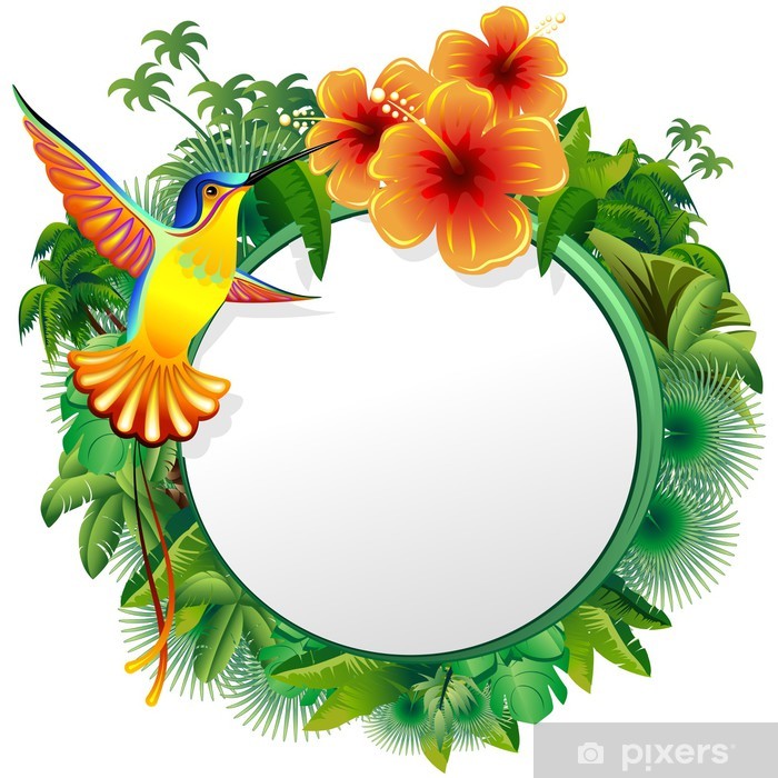 700x700 Colibri Biglietto Esotico Hummingbord Hibiscus Jungle Vector Wall