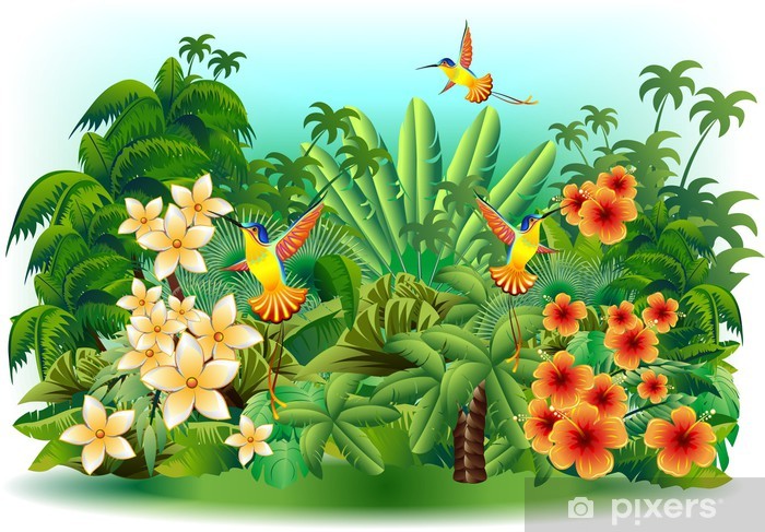 700x487 Colibri Giungla E Fiori Hummingbirds On Jungle Vector Wardrobe