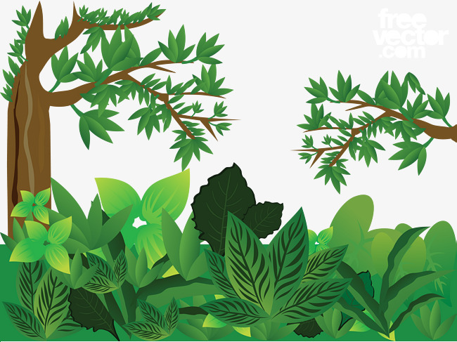 650x487 Green Jungle Vector, Trees, Leaves, Big