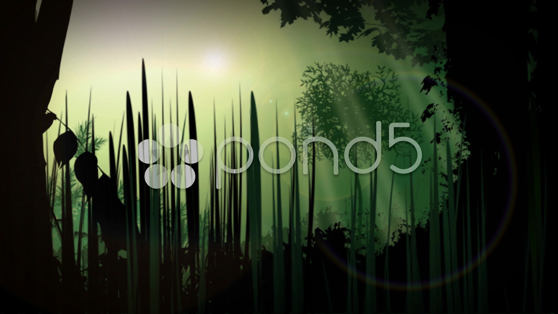 1920x1080 Jungle, Vector Animation, Green, Forest, Tropical Hi Res