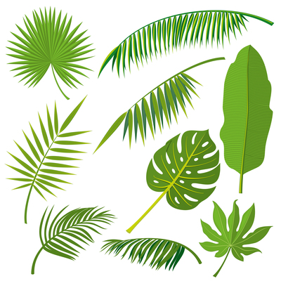 400x400 Page Jungle On Curated Vector Illustrations, Stock Royalty Free