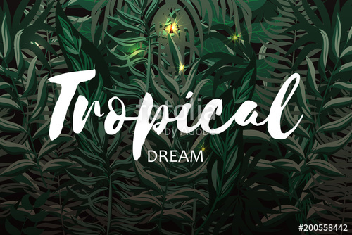 500x334 Pattern With Tropical Palm Leaves Jungle Vector Tropical