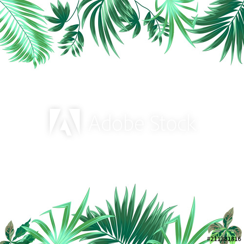 500x500 Tropical Jungle Vector Background, Frame With Palm Tree And Leaves