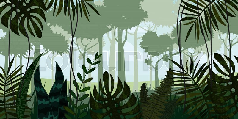 800x400 Vector Tropical Rainforest Jungle Stock Vector Colourbox