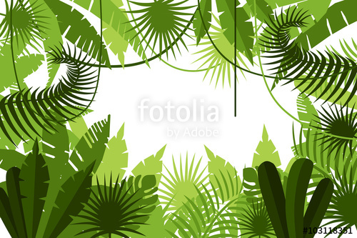 500x333 Frame Jungle Vector Illustration Stock Photo And Royalty Free