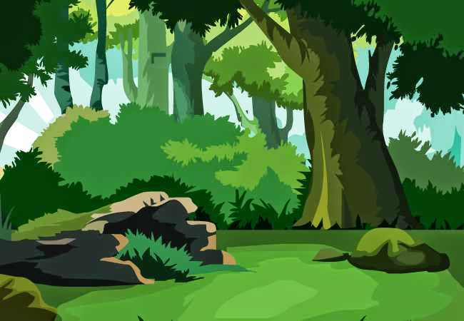 650x450 Jungle Vector