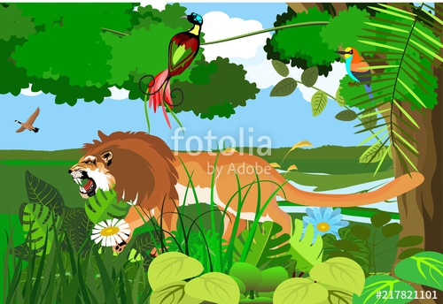 500x344 Growling Lion Walking In Jungle Vector Illustration Stock Image