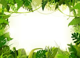 274x200 Jungle Background Vector