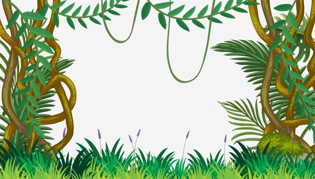 626x357 Jungle Frame Vector Free