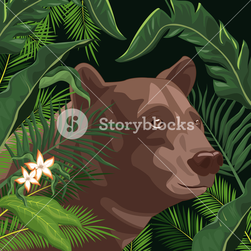 1000x1000 Bear In The Jungle Vector Illustration Graphic Design Royalty Free