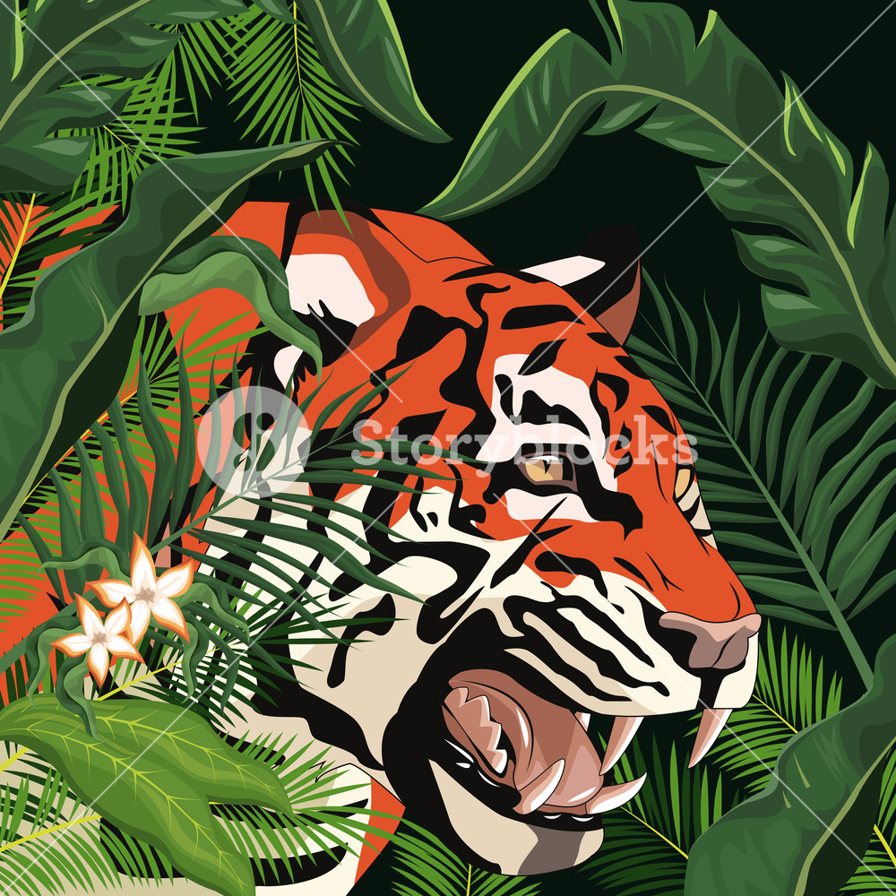 1000x1000 Tiger Drawing In The Jungle Vector Illustration Graphic Design
