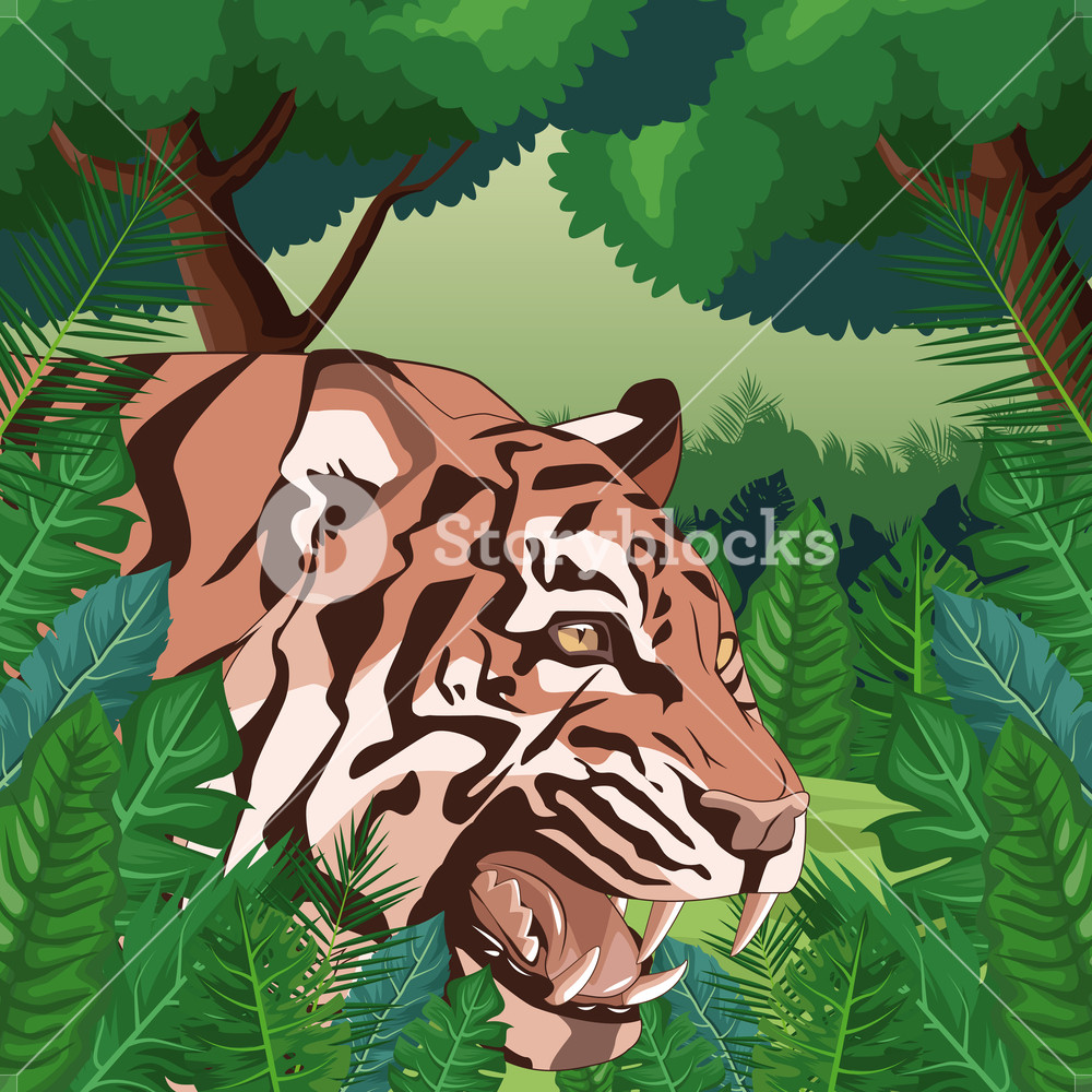 1000x1000 Tiger In The Jungle Vector Illustration Graphic Design Royalty