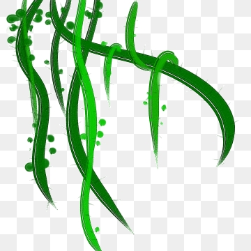 360x360 Jungle Vines Png Images Vector And Free Download